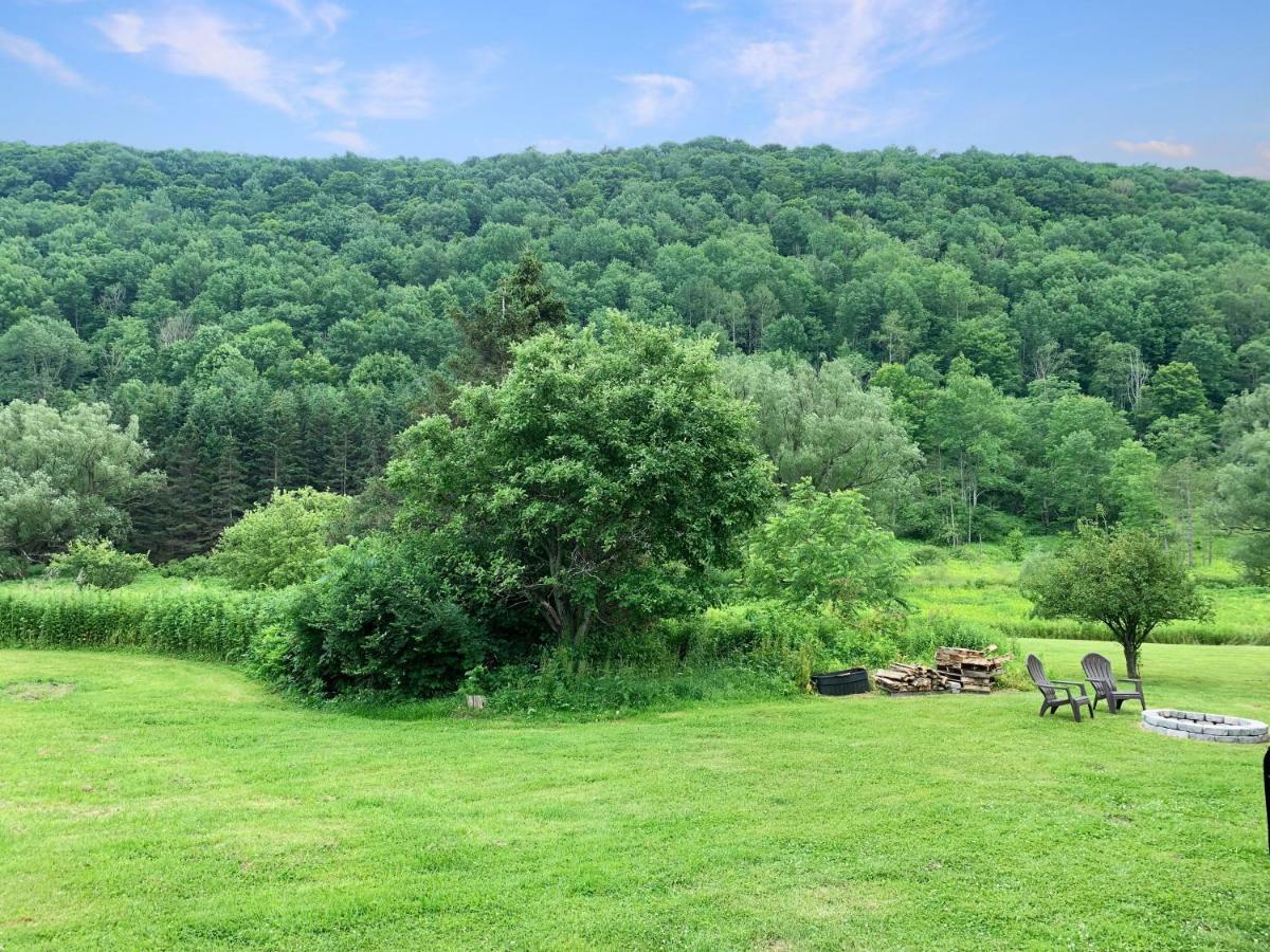 The Maples Apt - King Bed, Pet Friendly, Beautiful Views Ellicottville Exterior foto